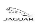 685_jaguar
